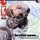 Illustration for article titled Chicago Is Losing Its Shit Over This Rescued Baby Sea Otter